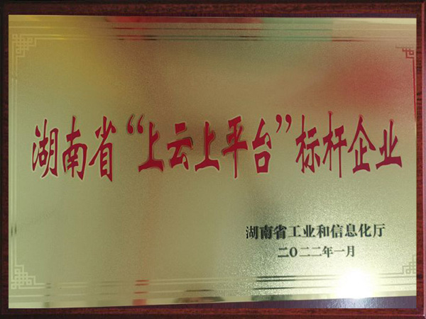 湖南省“上云上平台”标杆企业