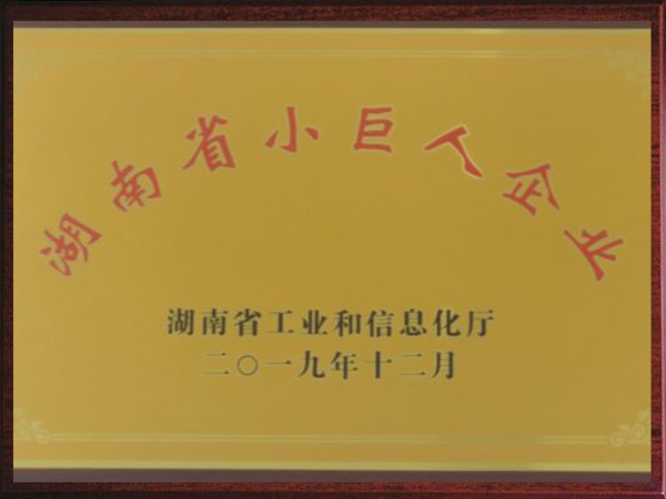 湖南省小巨人企业