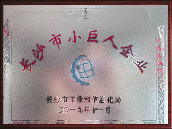 长沙市小巨人企业